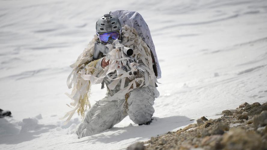 红警海豹特种部队深度解析：战术与克制