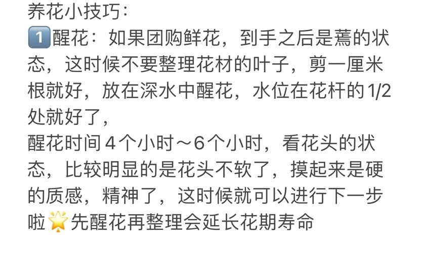 红警手游送花攻略：快速获得鲜花技巧