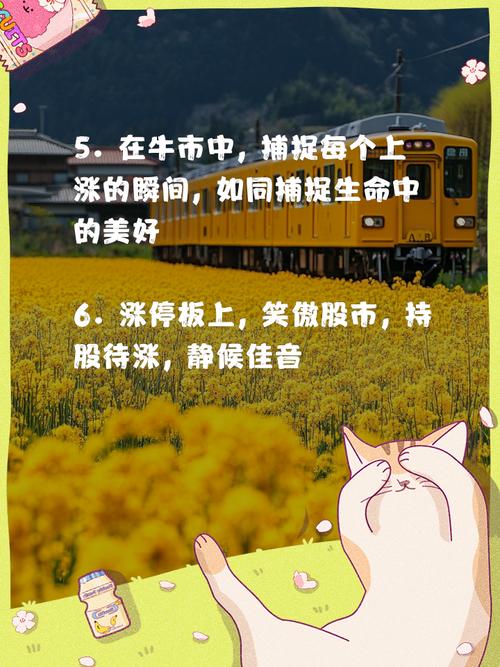 不懂红警也能轻松参与牛市？小白也能赚钱的秘诀！