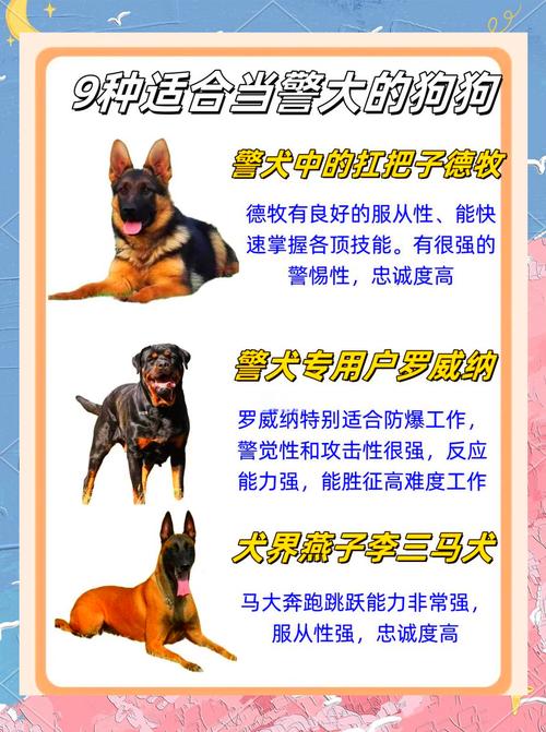 红警打狗教学：新手必备的犬类单位对抗策略