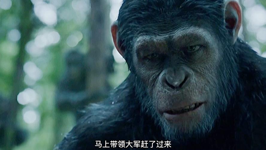 红警在外星：他能否带领人类战胜外星侵略者？